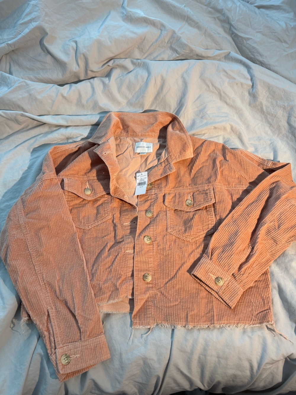 American Eagle Outfitters Corduroy Button-Down in Peach